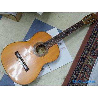 Suzuki Violin classical guitar