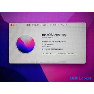 Apple MYDA2J / A MacBook Pro Retina Display 13.3 inch Silver M1 Chip Memory 8GB SSD 256GB